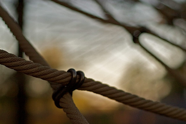 Canon 10D, EF 17-40 4.0, 40mm, f 4.0, 1/500s, ISO 200