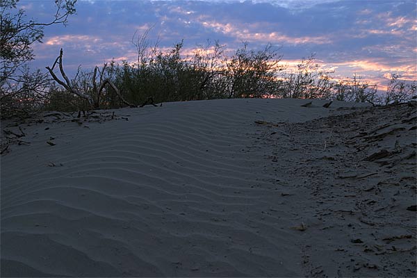 desert sunset | Canon 10D, EF 17-40 4.0, 29mm, f 6.0, 1/45s, ISO 200