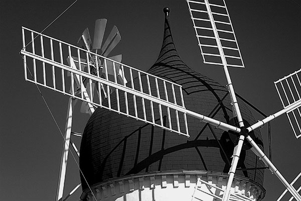 giant | Canon 10D, EF 70-200 2.8, 75mm, f 4.0, 1/4000s, ISO200