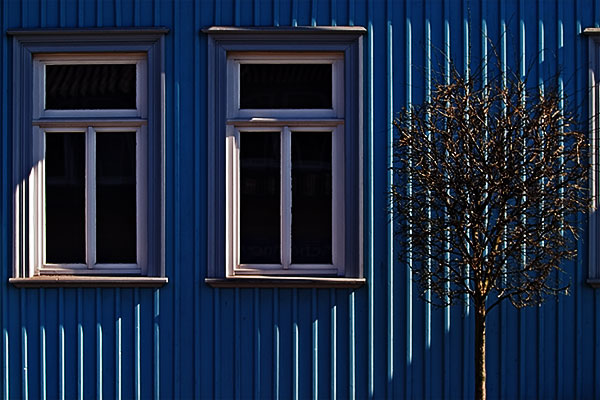 windows | Canon 10D, EF 70-200 2.8, 70mm, f 3.5, 1/750s, ISO100