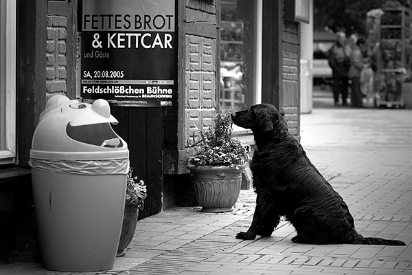 Fettes Brot | Canon 10D, EF 70-200 2.8, 70mm,  f 2.8, 1/250s, ISO400