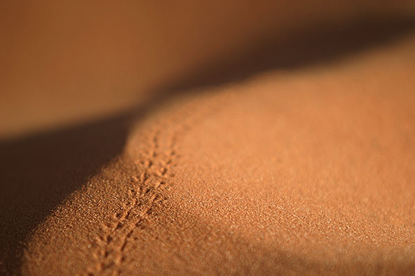 Tapsen | Canon 10D, EF 70-200 2.8, 200mm,  f 2.8, 1/2000s, ISO100