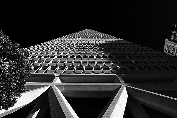 Transamerica Pyramid | Canon 10D, EF 17-40 4.0, 17mm, f 8, 1/750s, ISO 400