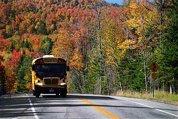 School Bus