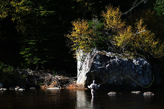 trout fishing