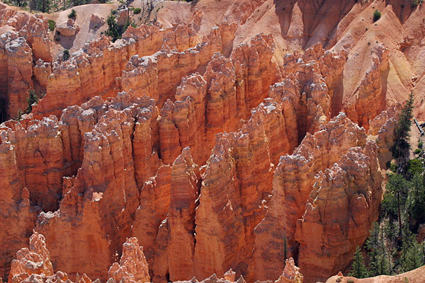 Bryce Canyon