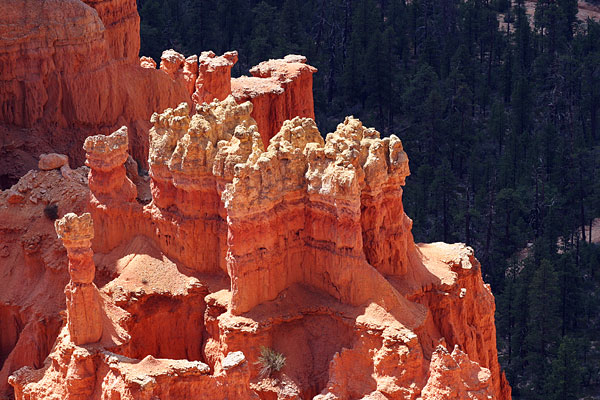Bryce Canyon