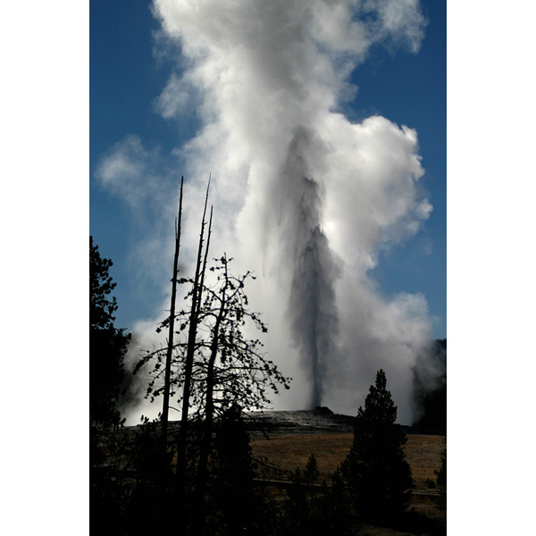 Old Faithful, Yellowstone NP