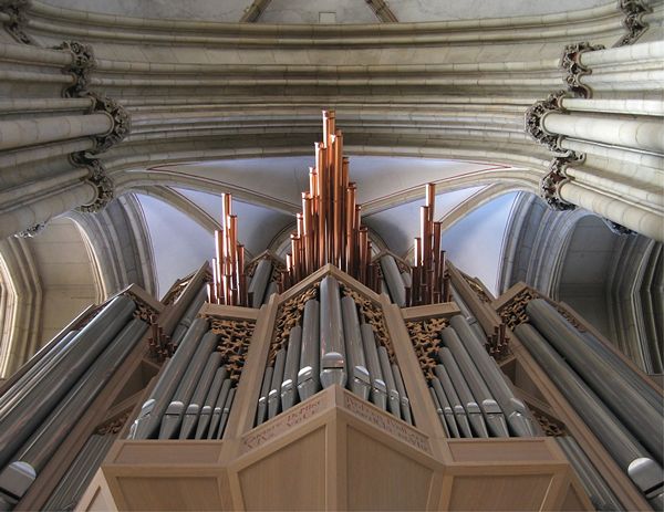 Organ